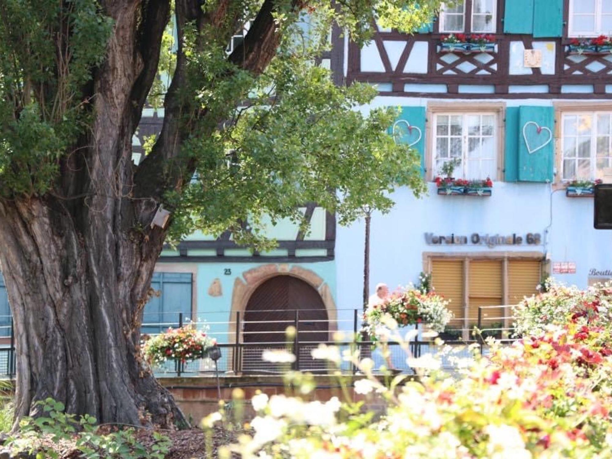 Appartement Avec Garage Et Terrasse Au Coeur De Colmar, Pres De La Route Des Vins D'alsace - Fr-1-722-6 *